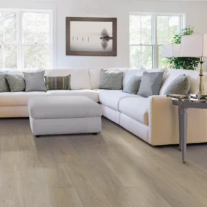 Living room Hardwood | Columbus Carpet