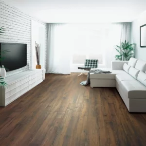 Living room Laminate | Columbus Carpet
