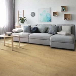Living room Laminate | Columbus Carpet