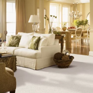 Wall to wall Carpet | Columbus Carpet