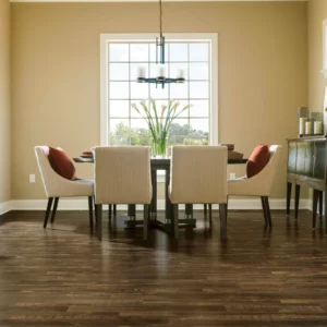 Dinning area Hardwood | Columbus Carpet