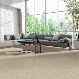 Living room Carpet | Columbus Carpet