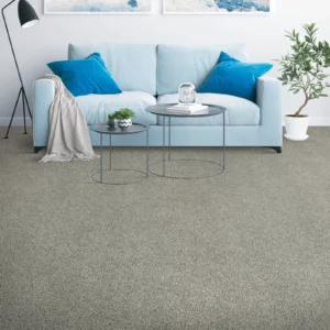 Carpet | Columbus Carpet