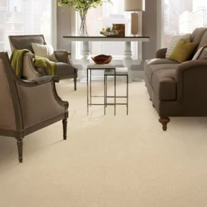 Carpet | Columbus Carpet