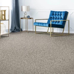 Grey Carpet | Columbus Carpet