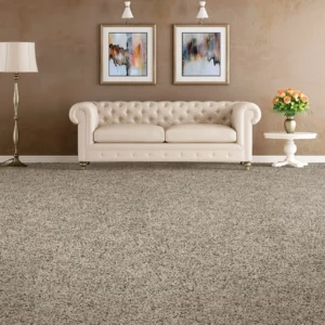Sofa on Carpet | Columbus Carpet
